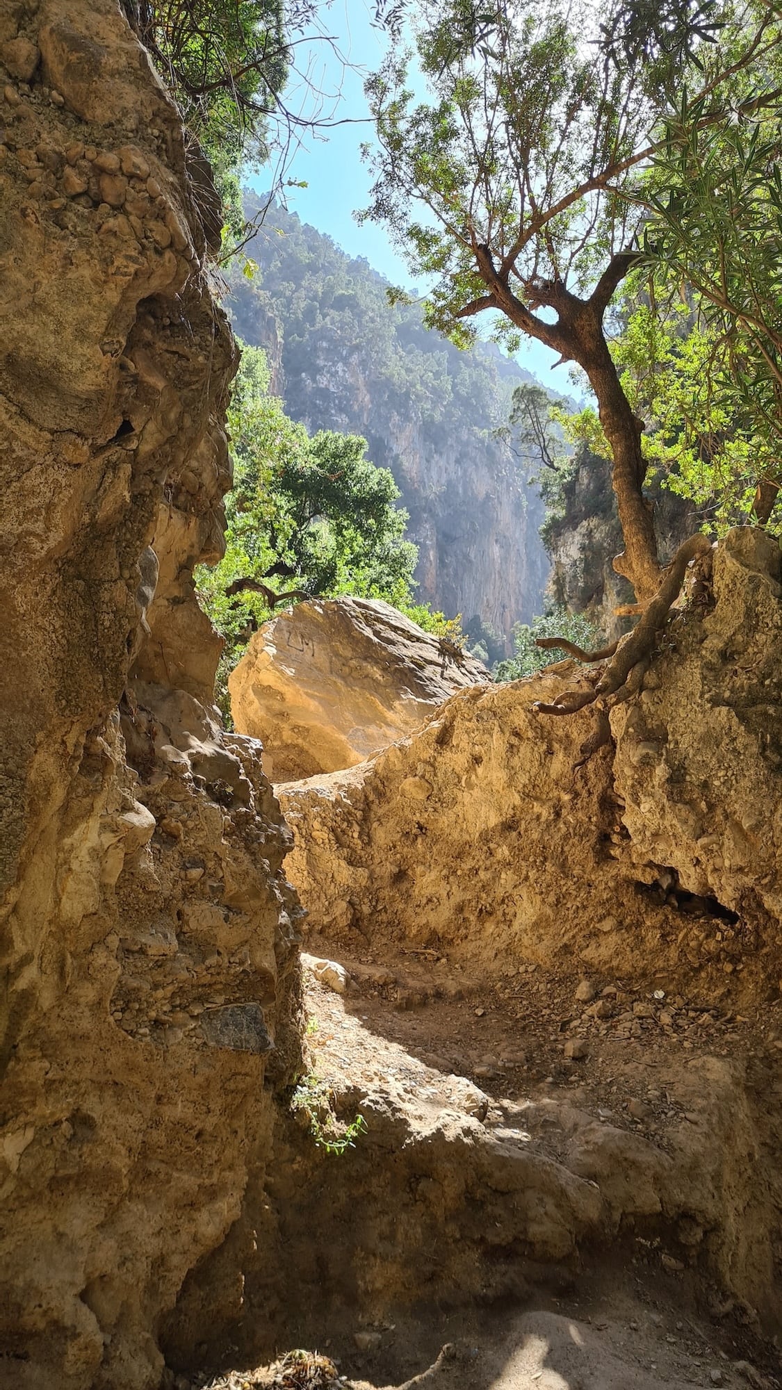 Nicht mehr weit zum Ziel